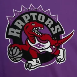 Mitchell & Ness T-Shirts & Tops-Team Origins S/S Top Toronto Raptors