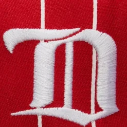 Mitchell & Ness Snapback-Team Pin Snapback Detroit Red Wings