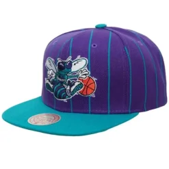 Mitchell & Ness Snapback-Team Pin Snapback Hwc Charlotte Hornets