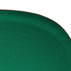 Mitchell & Ness Snapback-Team Pin Snapback Hwc Houston Rockets