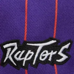Mitchell & Ness Snapback-Team Pin Snapback Hwc Toronto Raptors