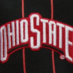 Mitchell & Ness Snapback-Team Pin Snapback Ohio State