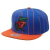 Mitchell & Ness Snapback-Team Pin Snapback University Of Florida