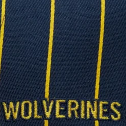 Mitchell & Ness Snapback-Team Pin Snapback University Of Michigan