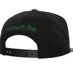 Mitchell & Ness Snapback-Team Script 2.0 Snapback Florida A&M University
