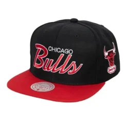 Mitchell & Ness Snapback-Team Script 2.0 Snapback Hwc Chicago Bulls