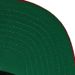 Mitchell & Ness Snapback-Team Script 2.0 Snapback Ohio State