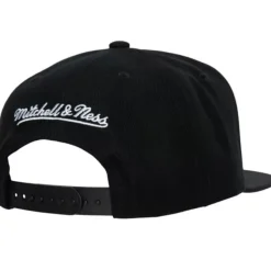 Mitchell & Ness Snapback-Team Script 2.0 Snapback Toronto Raptors