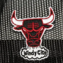 Mitchell & Ness Snapback-Team Seal Trucker Snapback Chicago Bulls