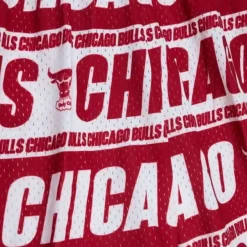 Mitchell & Ness Shorts-Teamwrap Swingman Chicago Bulls 1997-98 Shorts