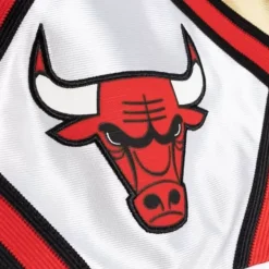 Mitchell & Ness Nba Swingman-75Th Anniversary Gold Swingman Chicago Bulls 1997-98 Shorts