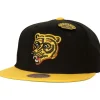 Mitchell & Ness Snapback-75Th Snapback Boston Bruins