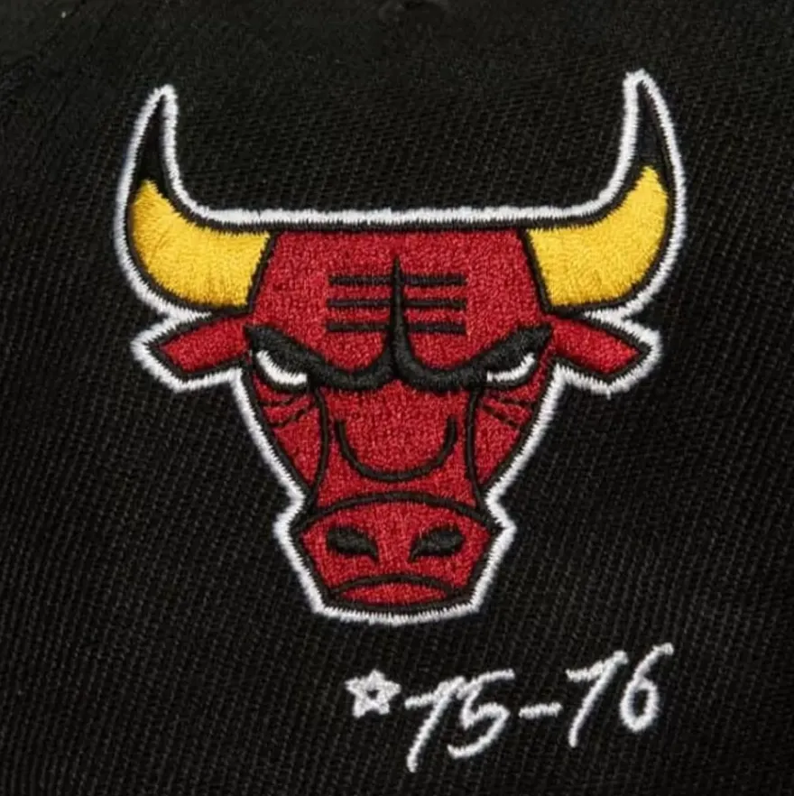 Mitchell & Ness Fitted-Timeline Fitted Hwc Chicago Bulls