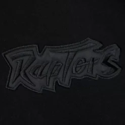 Mitchell & Ness Hoodies & Sweatshirts-Tonal Logo Heavyweight Fleece Toronto Raptors