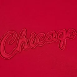 Mitchell & Ness Hoodies & Sweatshirts-Tonal Logo Heavyweight Fleece Chicago Bulls