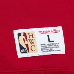 Mitchell & Ness Hoodies & Sweatshirts-Tonal Logo Heavyweight Fleece Chicago Bulls