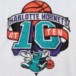 Mitchell & Ness Snapback-Toss Up Snapback Hwc Charlotte Hornets