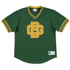 Mitchell & Ness T-Shirts & Tops-Unbeaten Mesh V-Neck Green Bay Packers