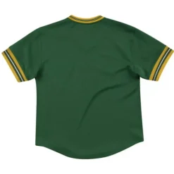 Mitchell & Ness T-Shirts & Tops-Unbeaten Mesh V-Neck Green Bay Packers