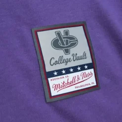 Mitchell & Ness T-Shirts & Tops-University Arch Logo Ls Tee Northwestern University