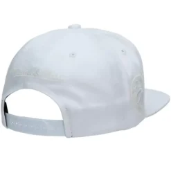 Mitchell & Ness Snapback-Uv Reactive Snapback Toronto Raptors