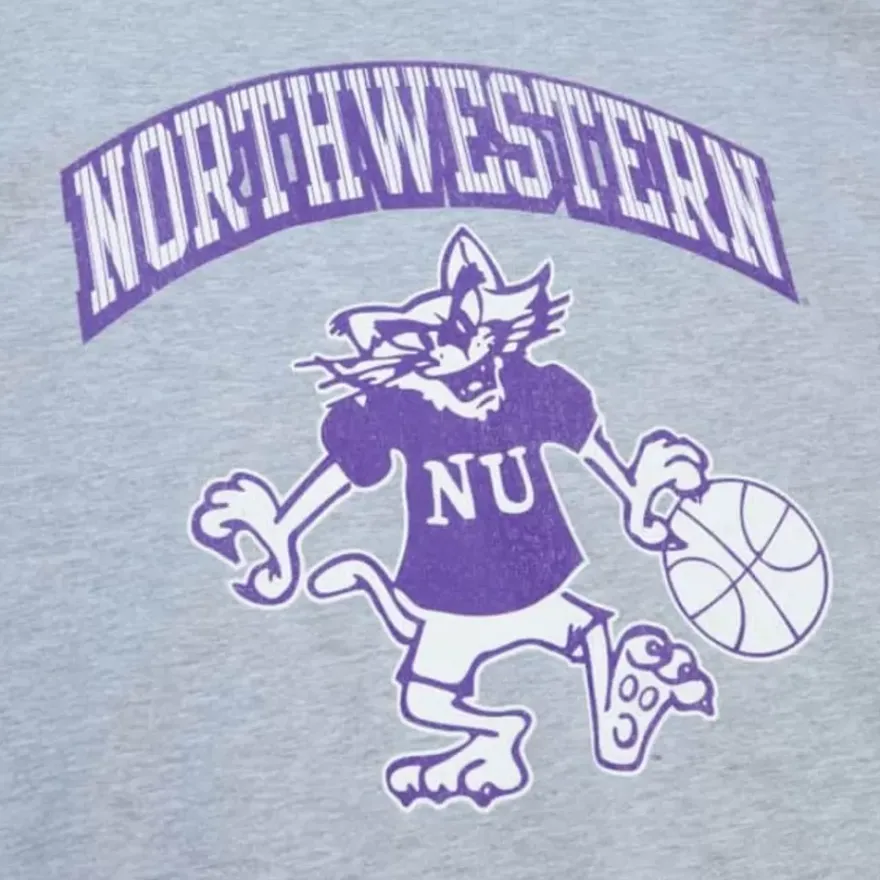 Mitchell & Ness T-Shirts & Tops-Vintage Arch Tee Northwestern University