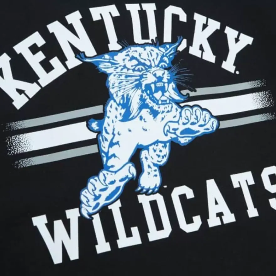 Mitchell & Ness Hoodies & Sweatshirts-Vintage Stripes Pullover University Of Kentucky