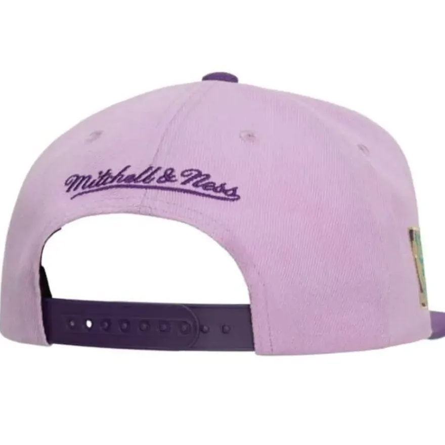 Mitchell & Ness Snapback-Violet Views Snapback Hwc Milwaukee Bucks