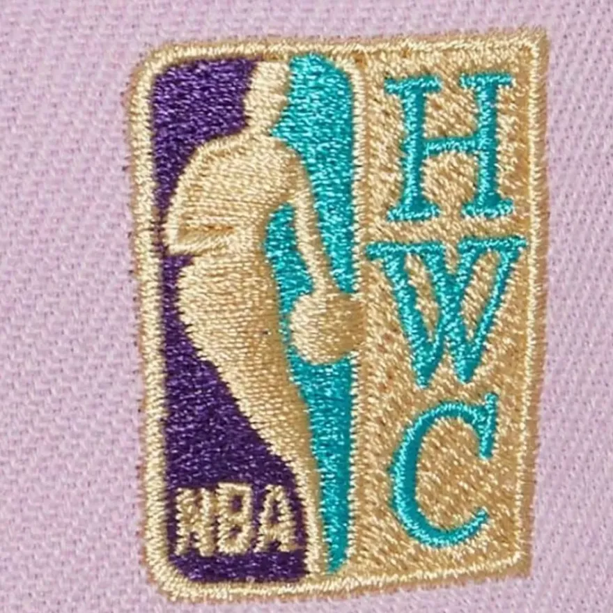 Mitchell & Ness Snapback-Violet Views Snapback Hwc Charlotte Hornets