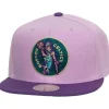 Mitchell & Ness Snapback-Violet Views Snapback Hwc Boston Celtics