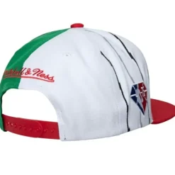 Mitchell & Ness Snapback-What The? Snapback Toronto Raptors