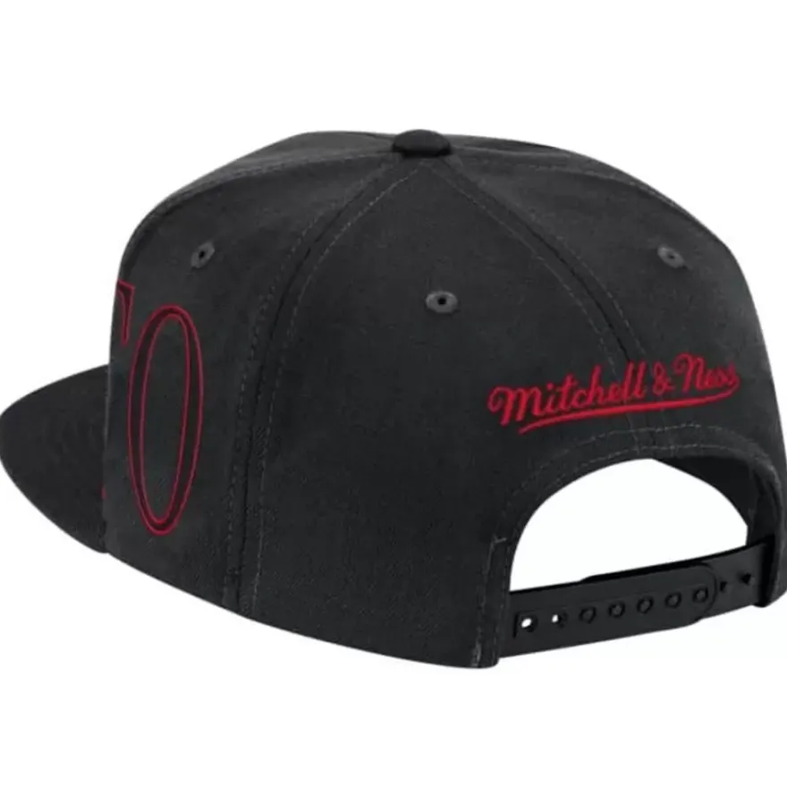 Mitchell & Ness Snapback-Winner Circle Snapback Toronto Raptors