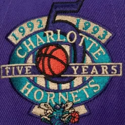 Mitchell & Ness Snapback-With Love Snapback Hwc Charlotte Hornets