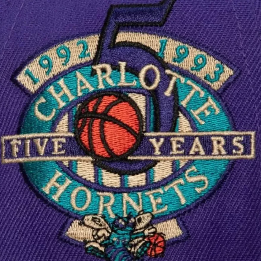 Mitchell & Ness Snapback-With Love Snapback Hwc Charlotte Hornets