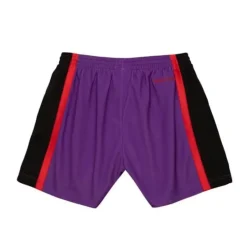 Mitchell & Ness Shorts-Women'S Big Face 3.0 Shorts Toronto Raptors