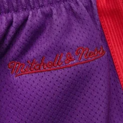 Mitchell & Ness Shorts-Women'S Big Face 3.0 Shorts Toronto Raptors