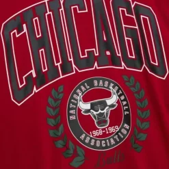 Mitchell & Ness Hoodies & Sweatshirts-Womens Logo Lt Crew 2.0 Chicago Bulls