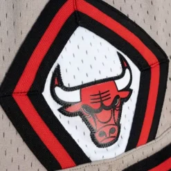 Mitchell & Ness Shorts-Womens Mushroom Shorts Chicago Bulls