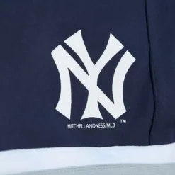 Mitchell & Ness Shorts-Womens Skort New York Yankees