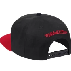 Mitchell & Ness Snapback-Wool 2 Tone Snapback Toronto Raptors